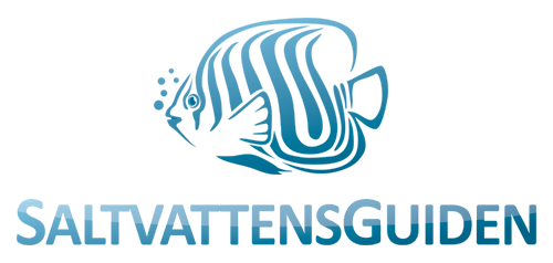 Saltvattensguiden - Logo 2016 - fisk överst - 500x238px.png