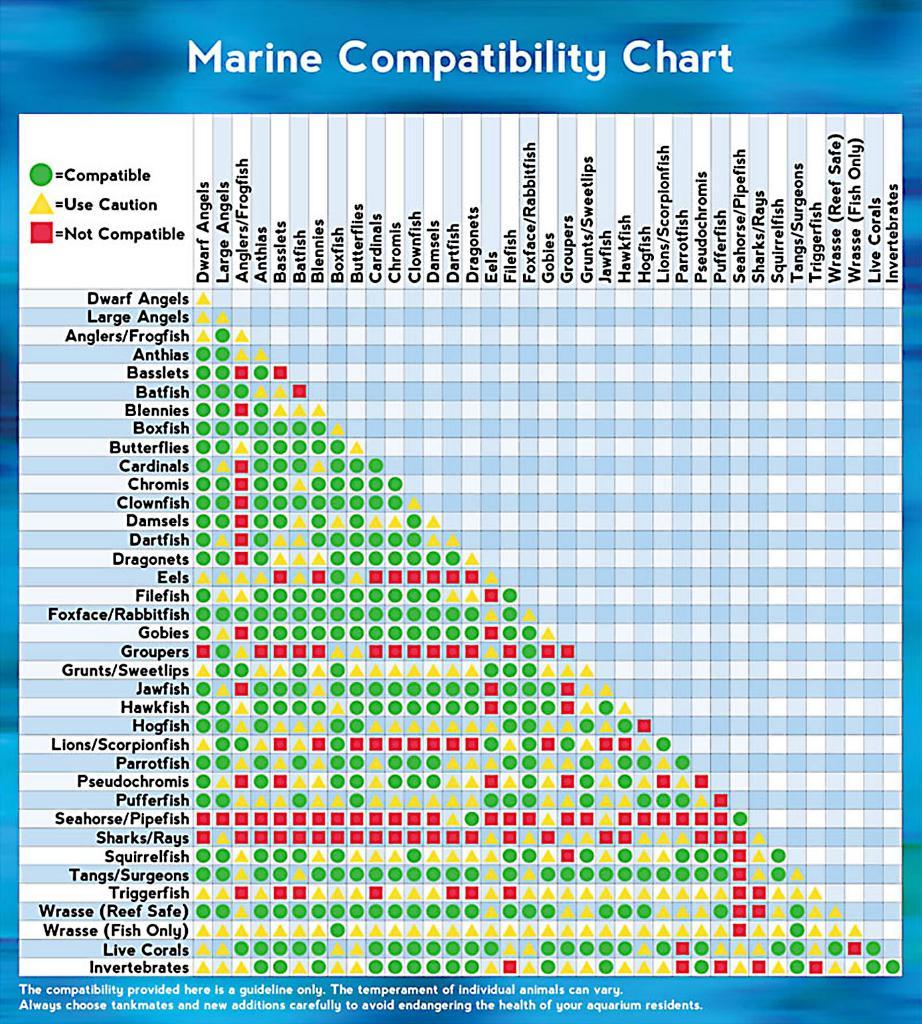 Compatibility-Chart2.jpg.09ed0cb7dbfed0bbb5b80376c0aef9f4.jpg