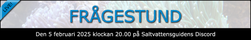 Saltvattensguiden - banner - Frågestund 2025.png