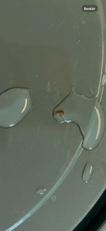 IMG_4525.thumb.png.a26b99e2089240e91207ee06fb5efde2.png
