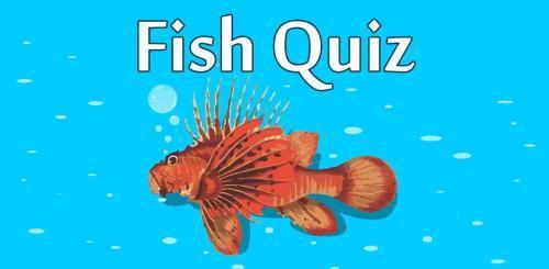 Quiz för stödjande medlemmar nr 1 (juni 2021)