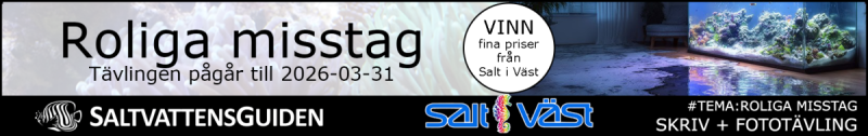 Saltvattensguiden - banner - tema - roliga misstag 2026_2b.png