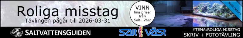 Saltvattensguiden - banner - tema - roliga misstag 2026_2c.png