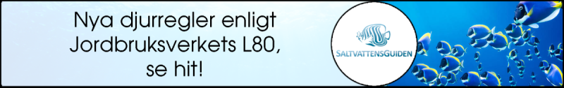 Saltvattensguiden - banner - Jordbruksverkets L80.png