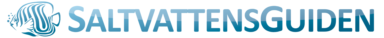 Saltvattensguiden